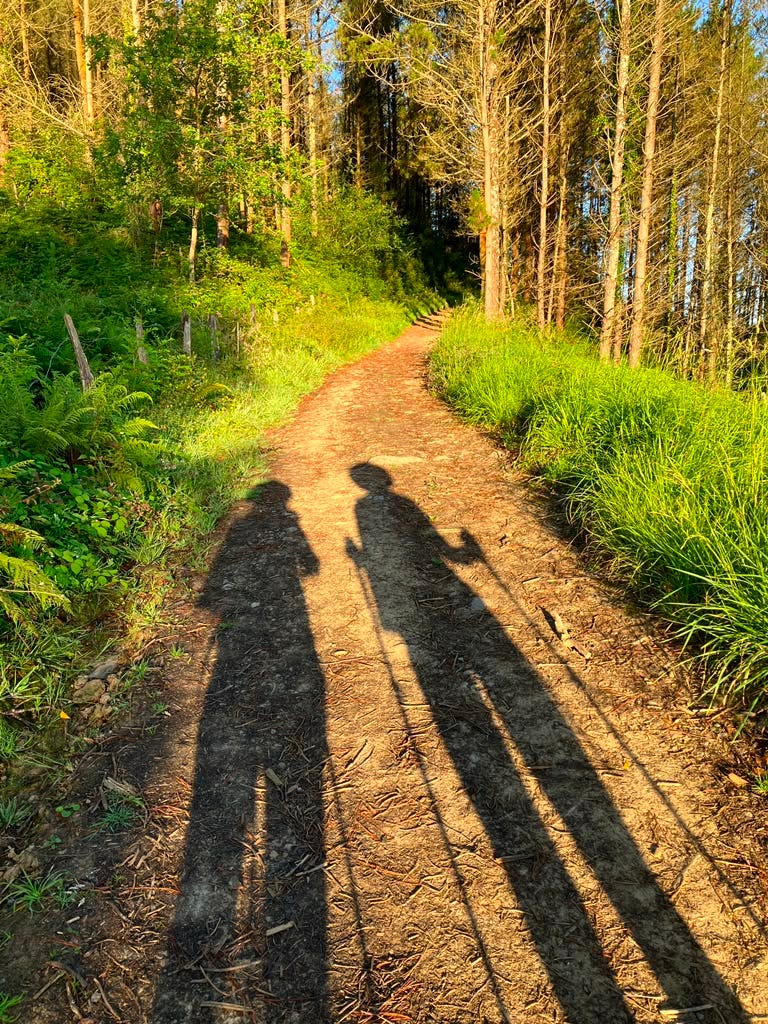 two hikers in shadow on a sunlight path through trees two hikers in shadow on a sunlight path through trees