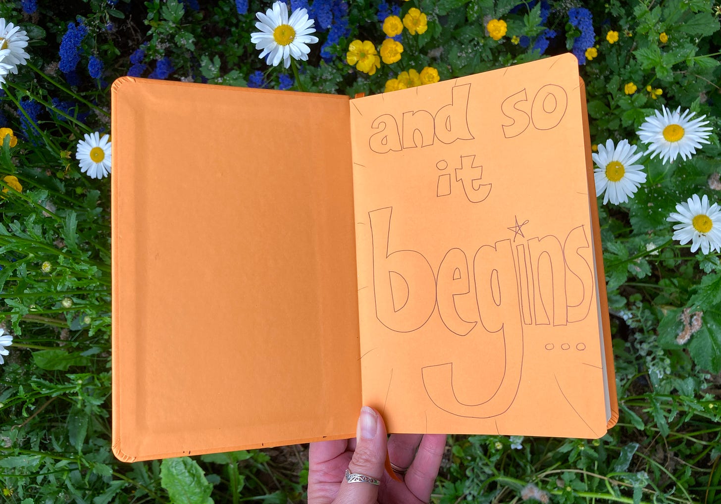 My hand holding open my orange Rhodia notebook to show the orange endpapers and a message I write at the start of each new writing notebook, in bubble letters, which reads" "And so it begins..." I'm holding the notebook over a flowerbed in our garden with white dog daisies, poppies and blue ceanothus flowers with lots of greenery.