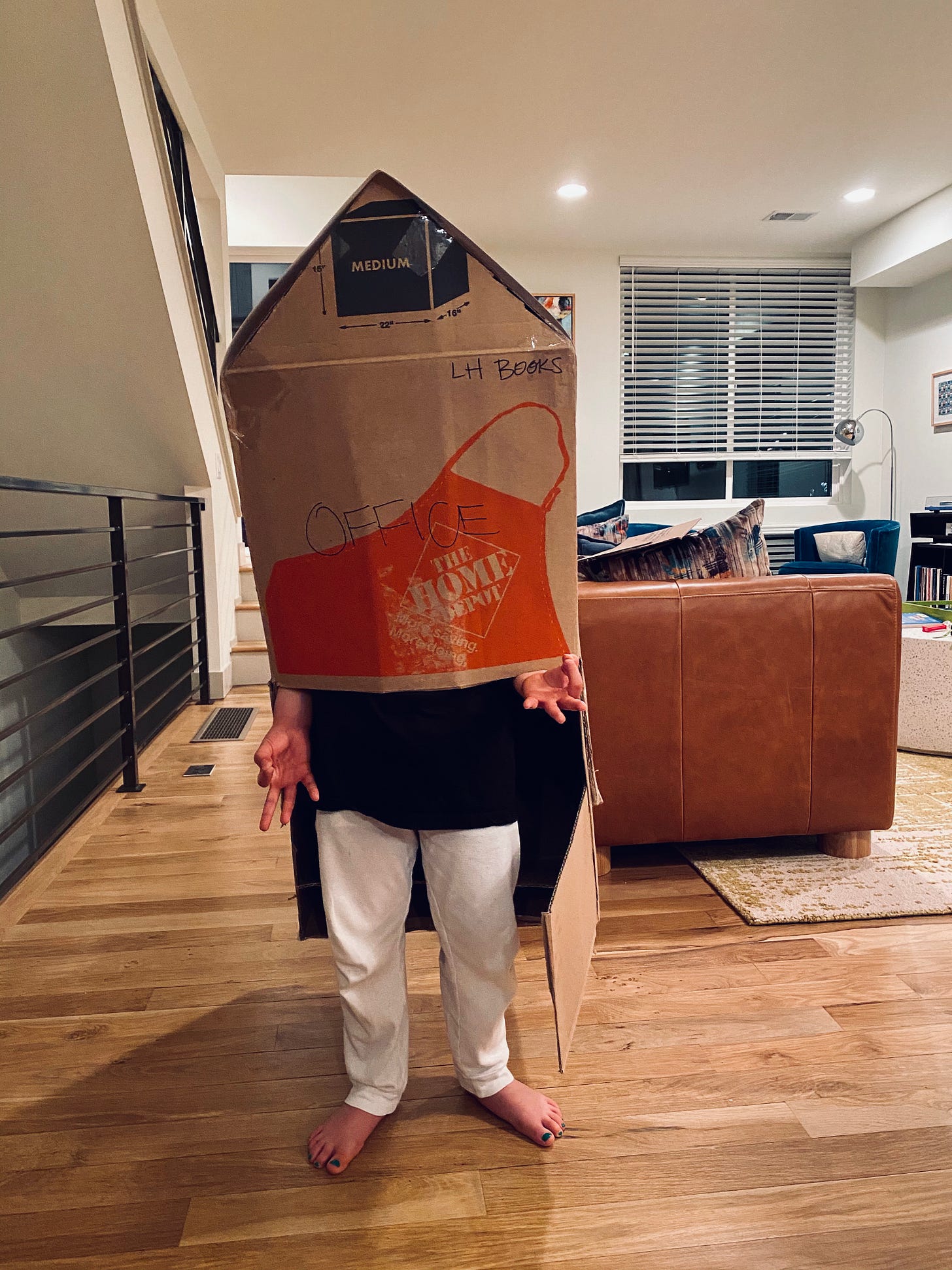Boy with a moving box over his head