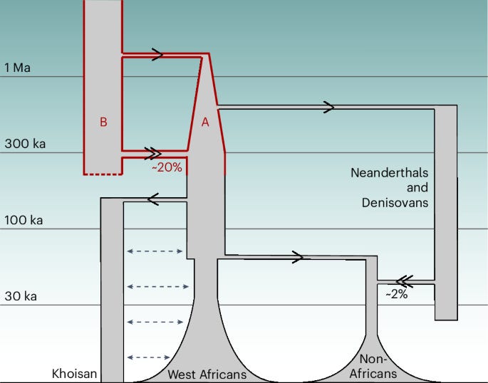 figure 6 figure 6