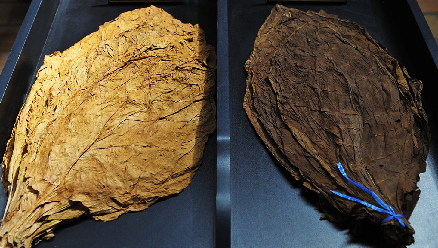 OUR TOBACCO DANNEMANN - Tobacco • Excellence • Craft