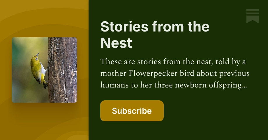 Stories from the Nest | Nikka C. Gaddi | Substack
