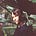 Justine Monsul's avatar