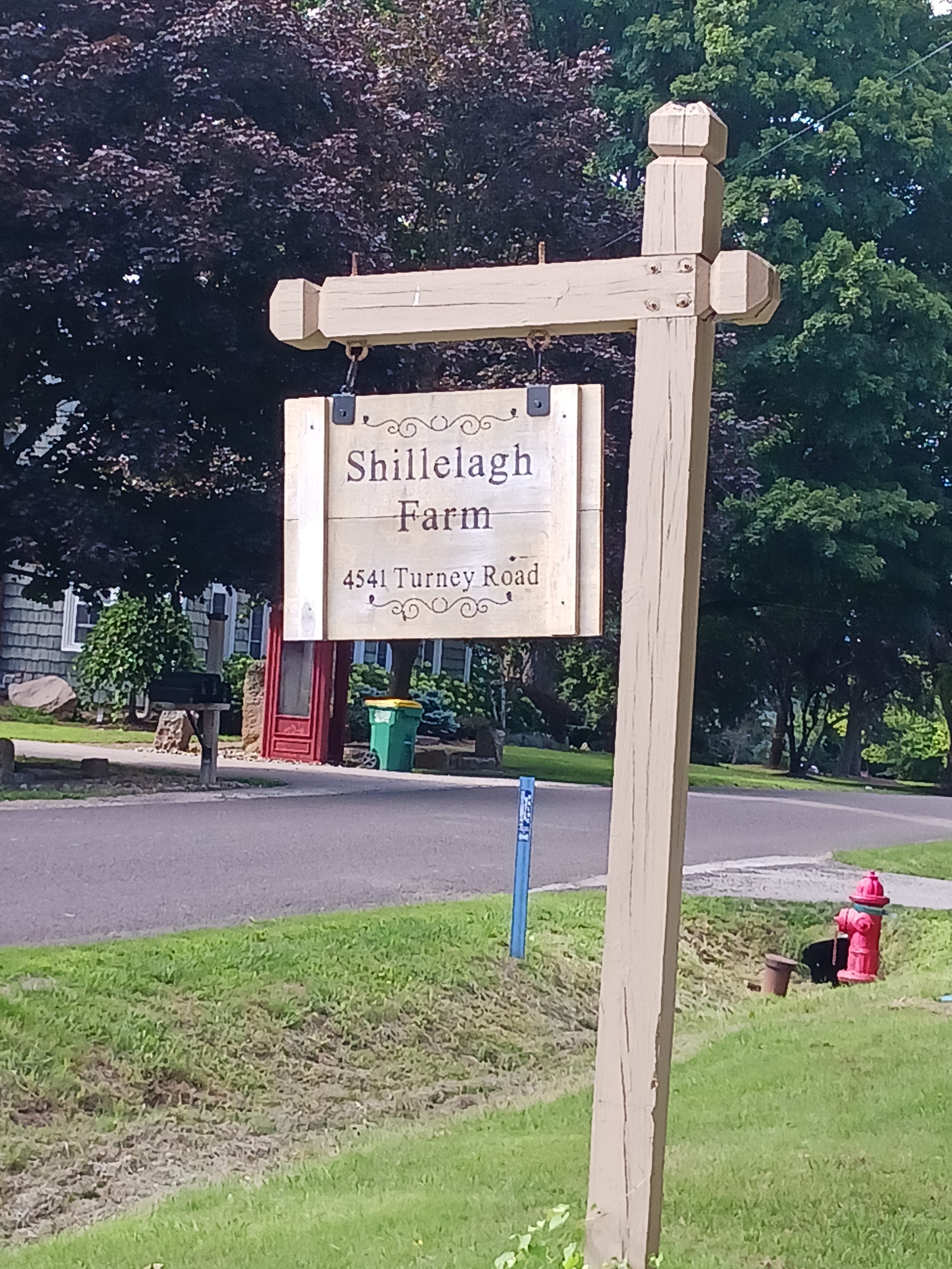 Shillelagh Farms - by Elise Stassart - Shakespearean Trails, image size:3060x4080