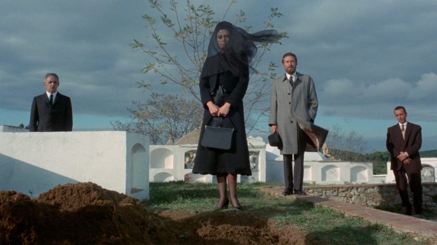 In the Eye of the Hurricane/El ojo del huracán/The Fox with a Velvet Tail ( 1971) | Mark David Welsh