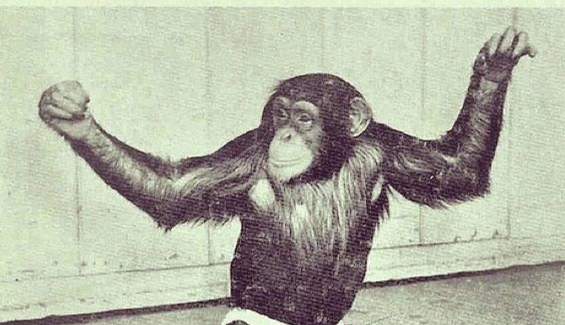 Heads Up: Mercury Is In POWERTHIRST Post-Cazimi During A Lunar Eclipse (And People Are Showing Their Asses)