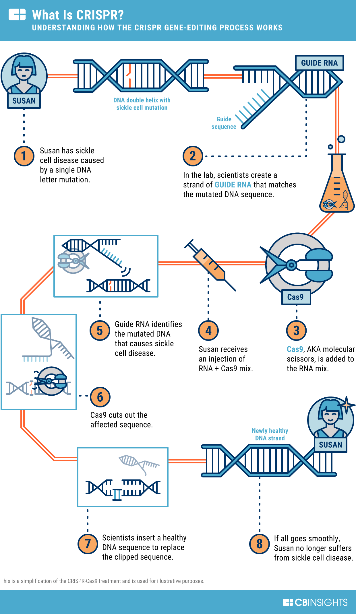 What is CRISPR? How the CRISPR gene editing process works What is CRISPR? How the CRISPR gene editing process works