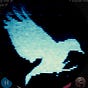 Thomas Flight's avatar