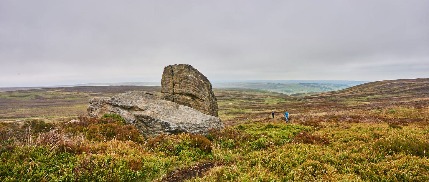 Heathery moorland with gritstone outcrop Heathery moorland with gritstone outcrop