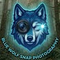 Blue Wolf Snap's avatar