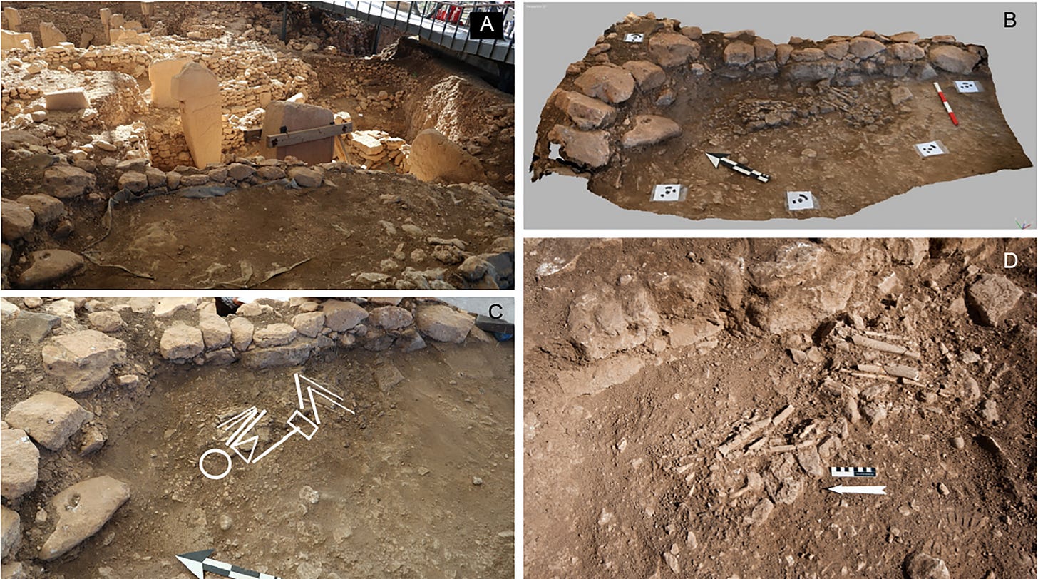 The single burial in trench L09-65, beside Special Building A at Göbeklitepe. The white lines in panel C reconstruct the position of the body, flexed on its left side facing east. The single burial in trench L09-65, beside Special Building A at Göbeklitepe. The white lines in panel C reconstruct the position of the body, flexed on its left side facing east.
