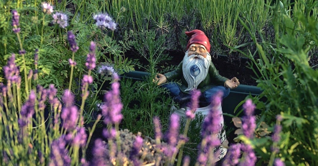 dwarf statue in garden
