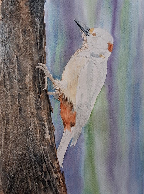 Elizabeth Tomkins process images