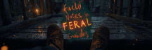Field Notes for the Feral (Trust, Culture, Work)