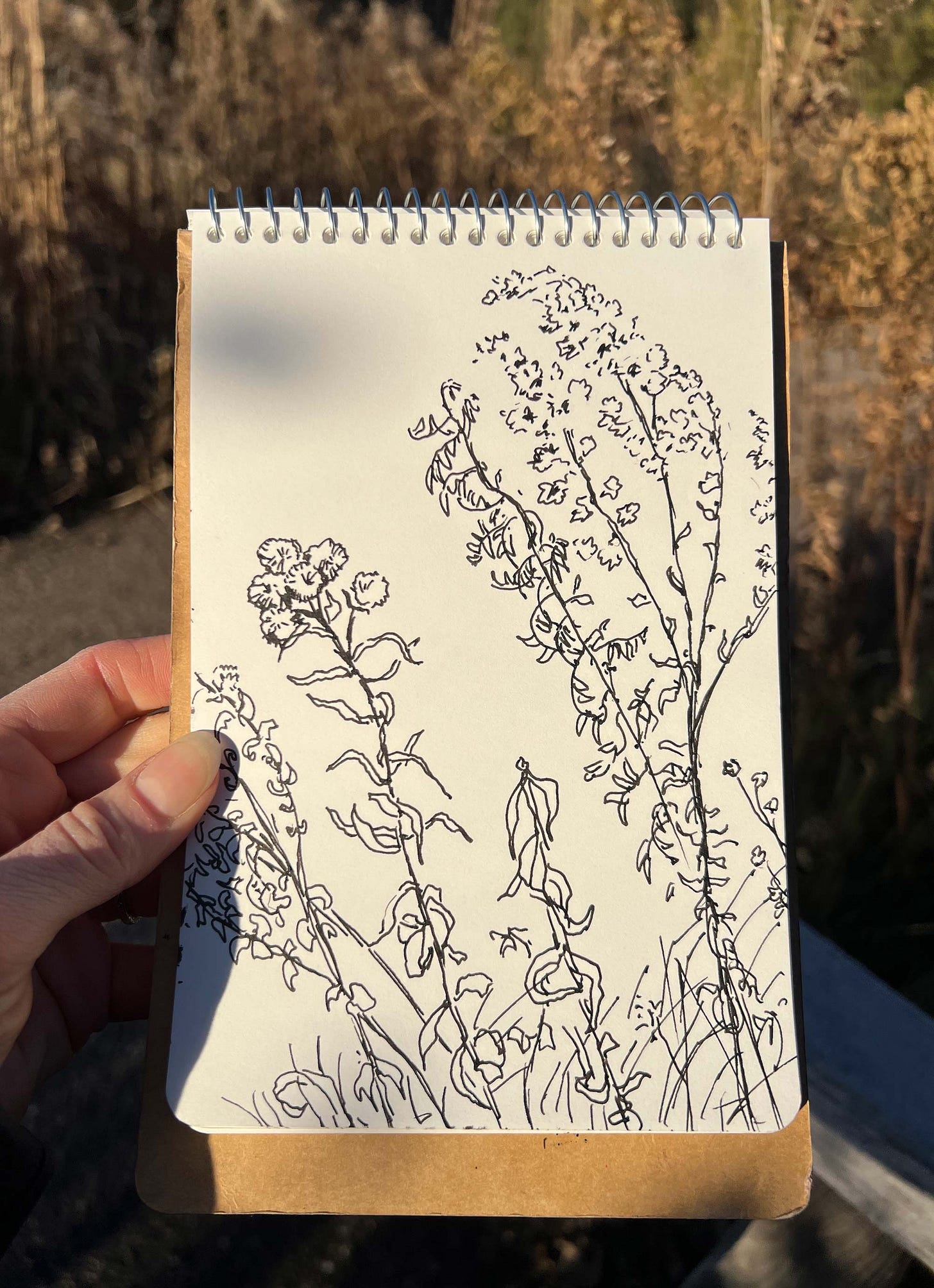 Black and white in sketchbook drawing of flowers by graphic novelist K. Woodman-Maynard. 
