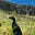 Newsom Virginia's avatar