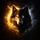 RAEN β WOLF PATH