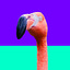 User's avatar