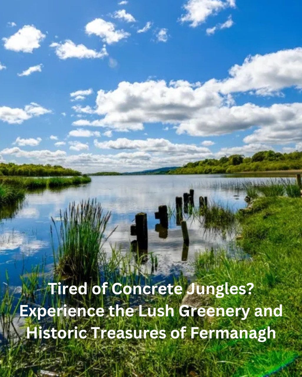 May be an image of text that says '경택 Tired Tired of Concrete Jungles? Experience the Lush Greenery and Historic Treasures of Fermanagh'
