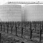The Sysco-ification of Wine