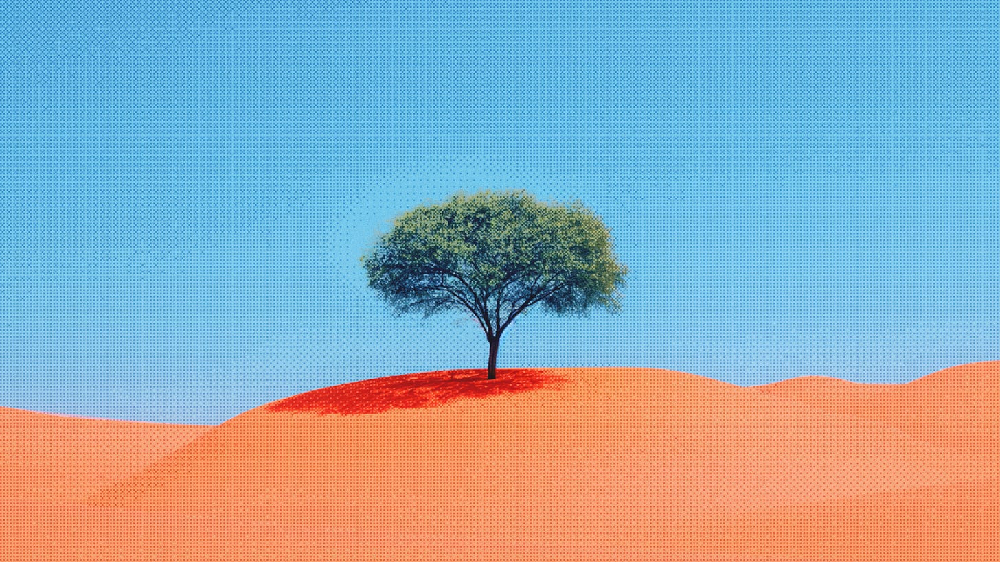 Lonely green tree in a desert, growing against all odds