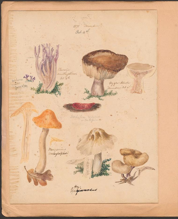 Book page image