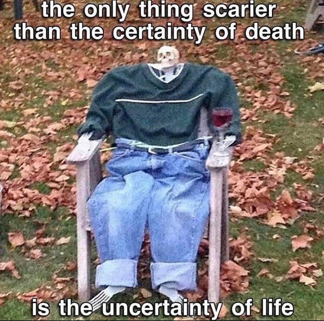 r/memes - the only thing scarier than the certainty of death is the uncertainty of life