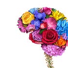 Hug Your Brain
