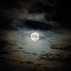 Cosmic Exile (a collaborative poem) - Voiceover