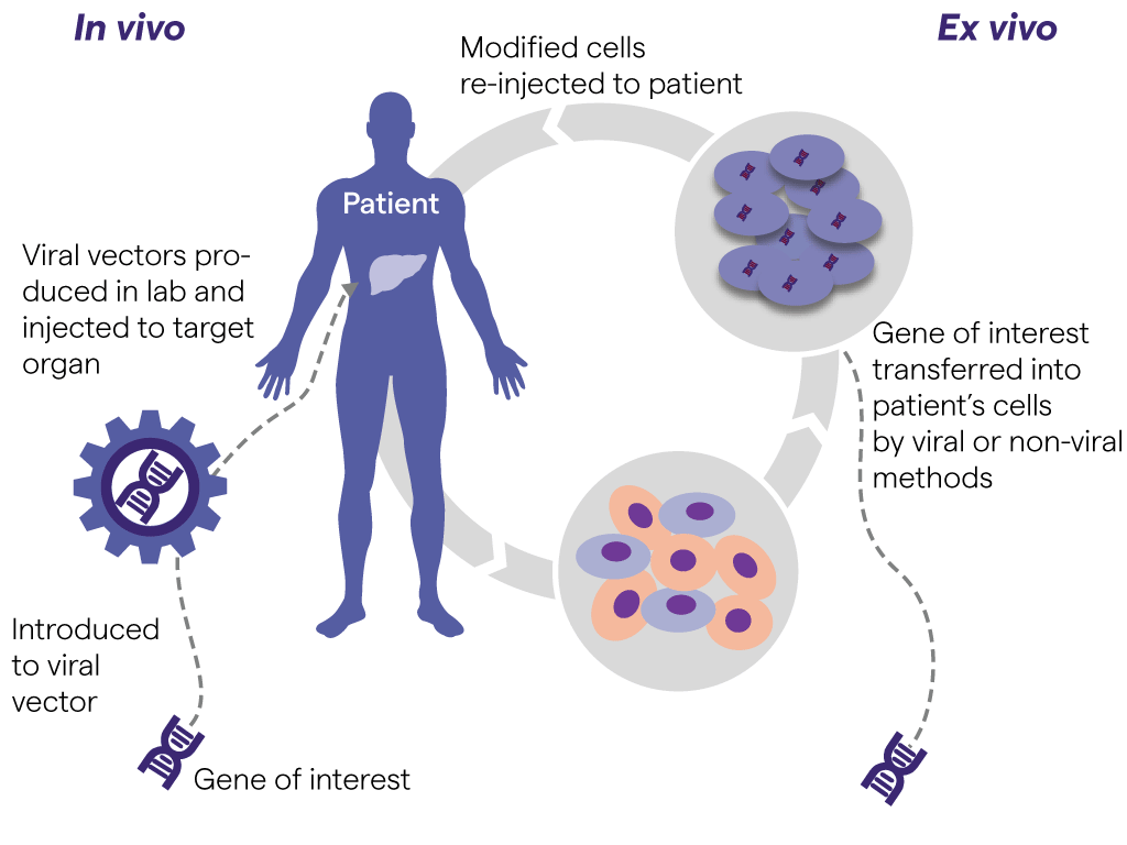 Cell and Gene Therapy | Lonza