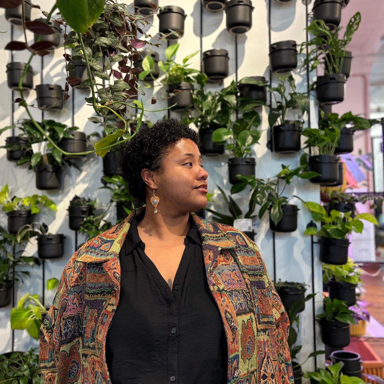 Beneath the Cypress Tree