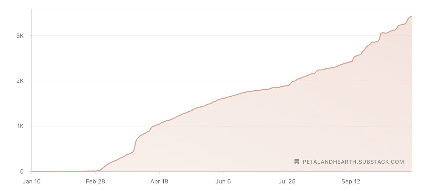 I Wrote 200 Substack Posts So You Wouldn't Have to (Here’s What I Learned)
