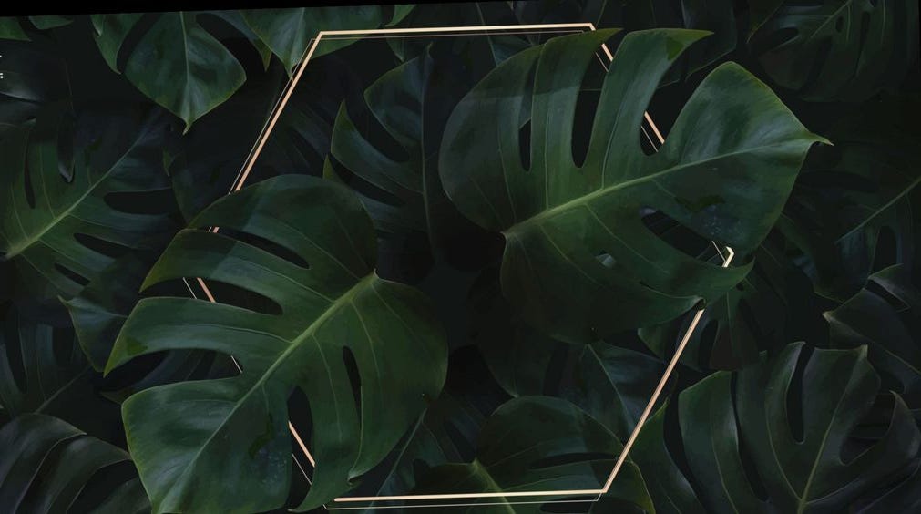 Substack profile picture for @rebel