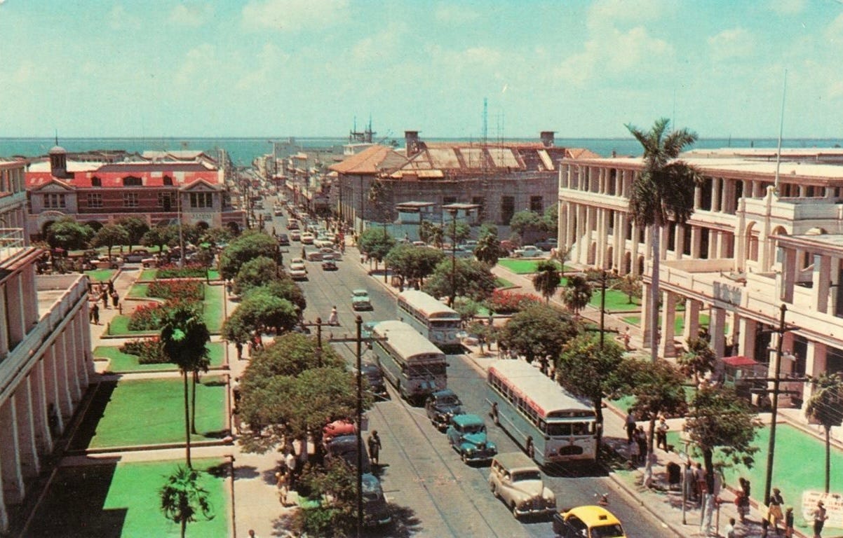 IMG_8781.jpeg IMG_8781.jpeg