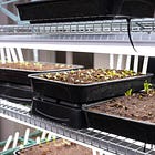 The DIY Propagation Station