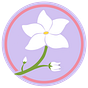 Pluma Paraluman's avatar