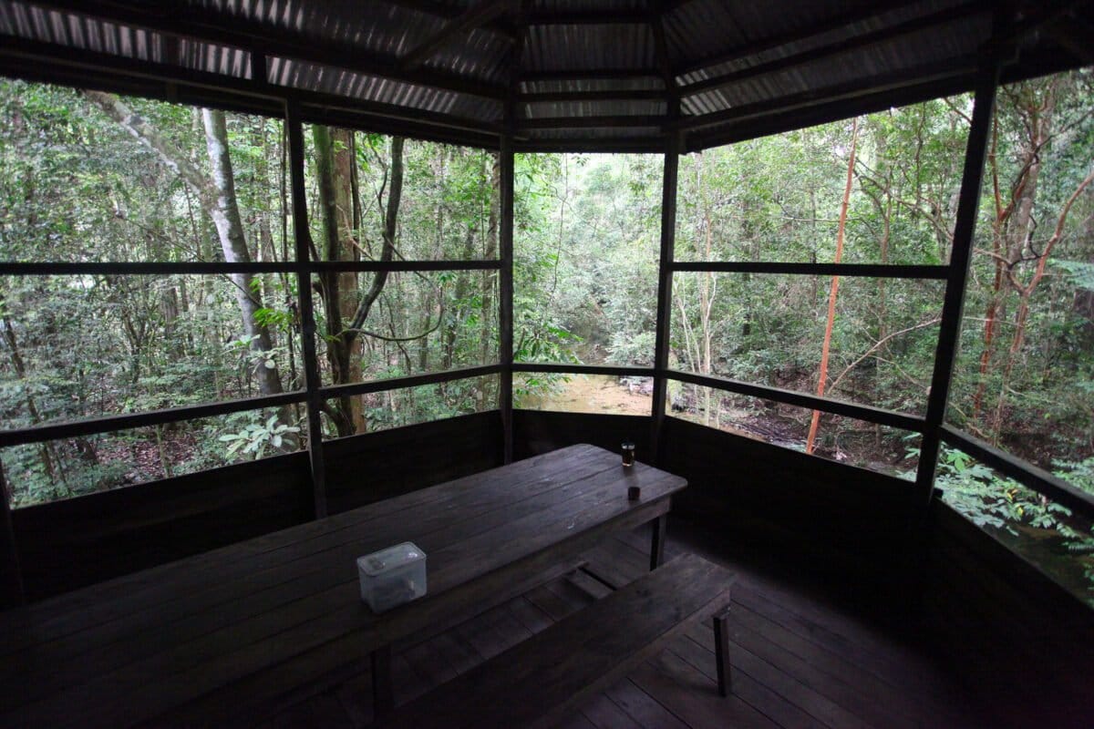 Cabang Panti research station in Gunung Palung, Indonesia. Photo by Rhett Ayers Butler Cabang Panti research station in Gunung Palung, Indonesia. Photo by Rhett Ayers Butler