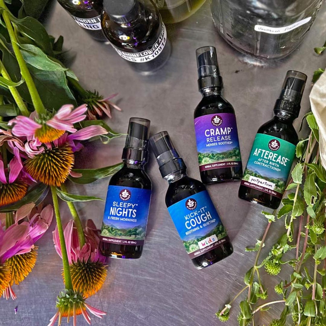 Dr. Erin Stokes, ND of Wishgarden Herbs - by Lauren Hodgen