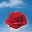 Rose Up's avatar