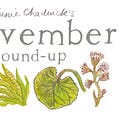 November Round-up