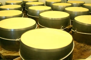 Parm 6 300 DPI Parm 6 300 DPI