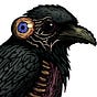 Daniel Hicks's avatar