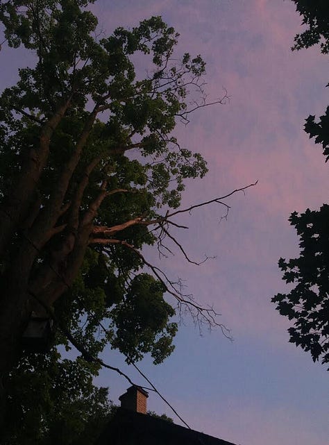 Three photographs: 1) A teen girl blurred by twirling with a rope in a tree; 2) pink sky above trees on Midsummer's Eve; 3) two young girls blurred as they do somersaults on a lawn at dusk. (Credit: Nancy Forde)
