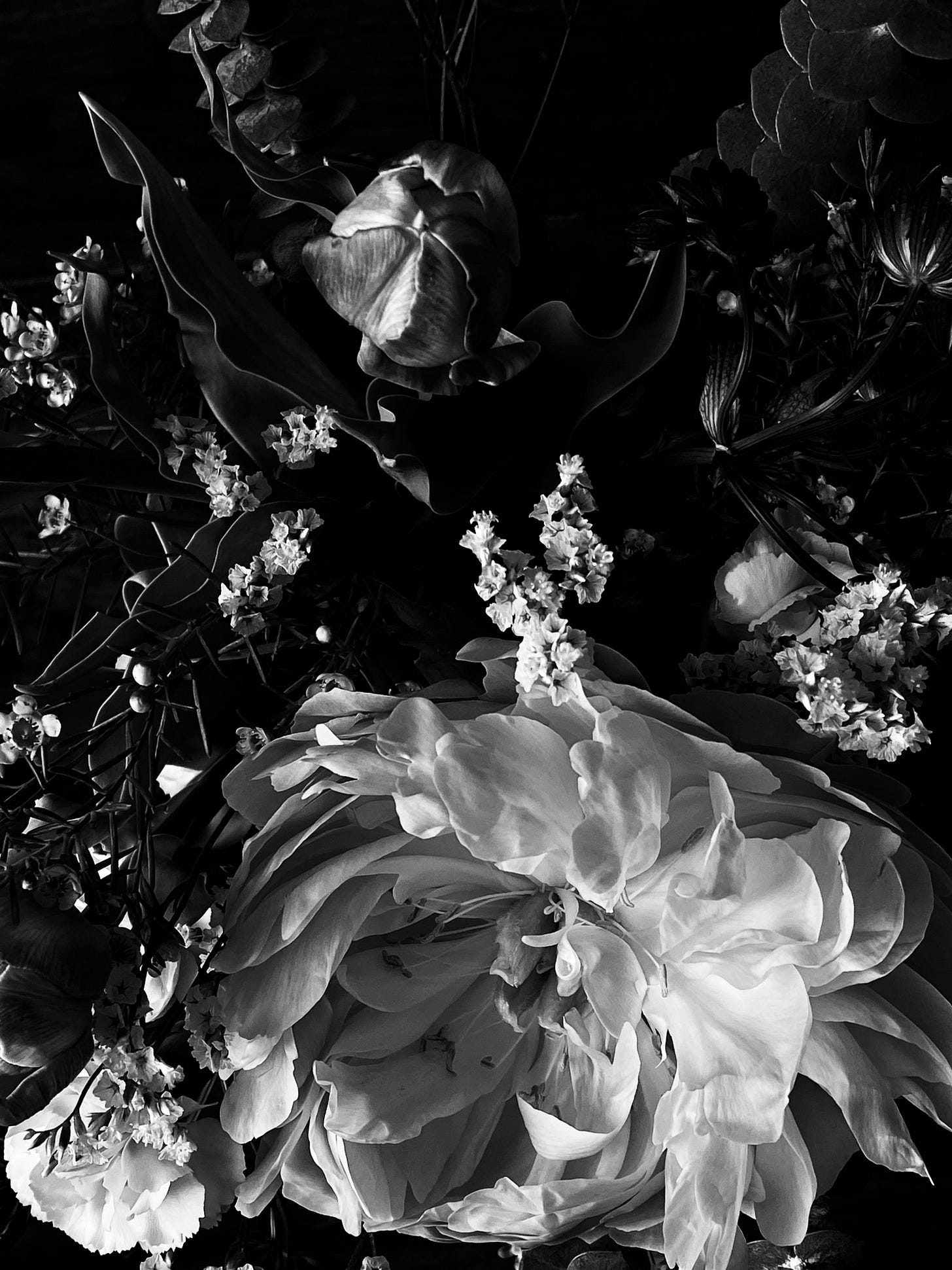 flower arrangement black and white