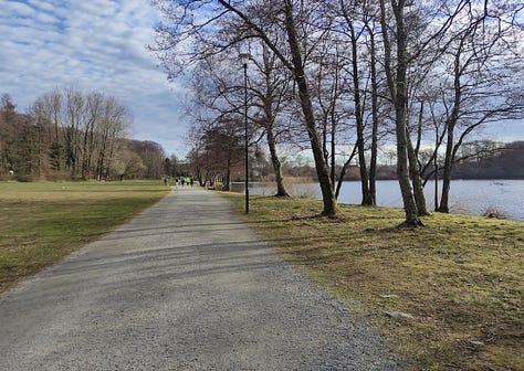 Views of a wide gravelled path, bordered by thin trees, and one of the lake