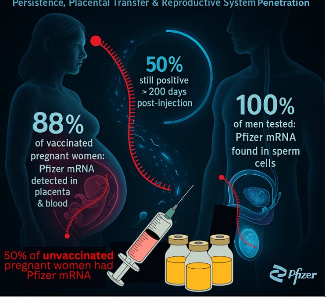 lionessofjudah.substack.com