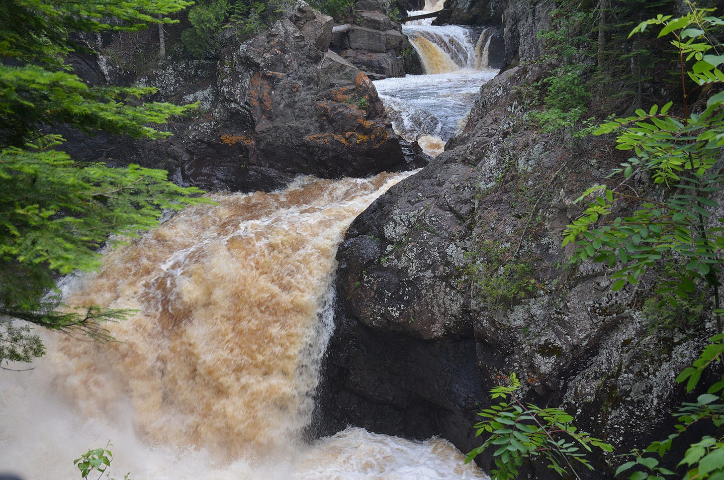 A river seething between walls of jagged boulders topped with lichens in an evergreen forest