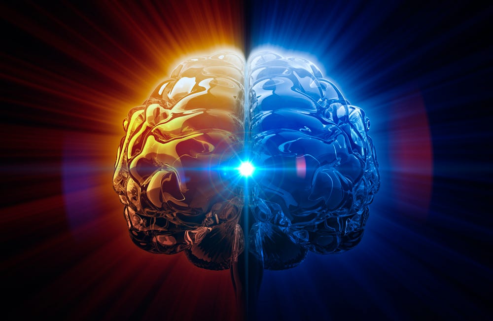 This Strange Rule Is What Makes the Human Brain So Powerful