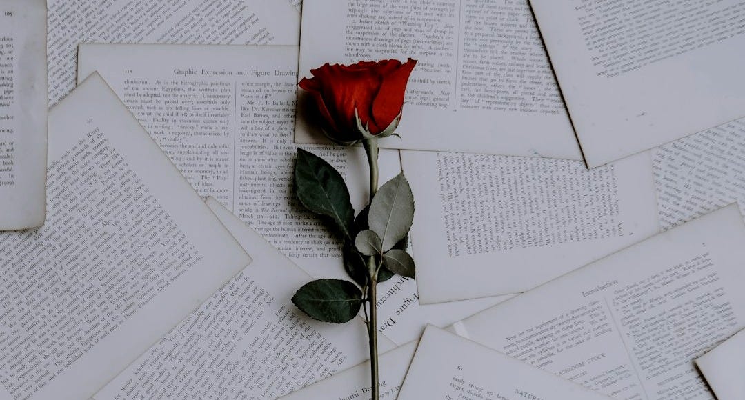 red rose on book sheets