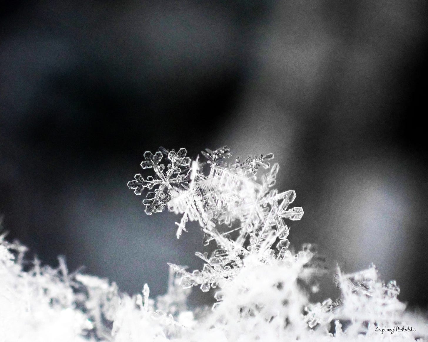 A close-up of snow crystals stacked against a dark background.